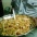 harish_1428